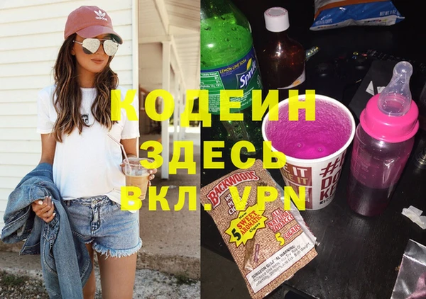 гашик Алексеевка