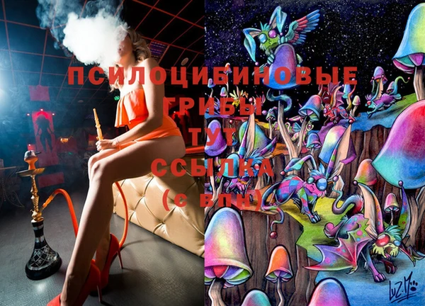 гашик Алексеевка
